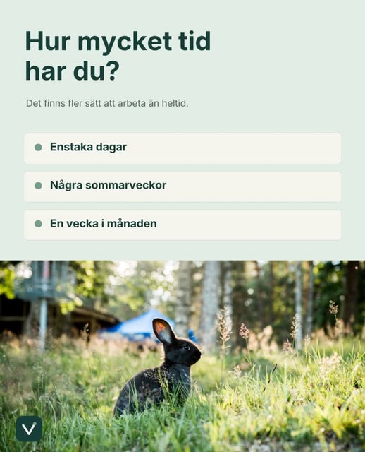 Inlägg från Vetido på Instagram